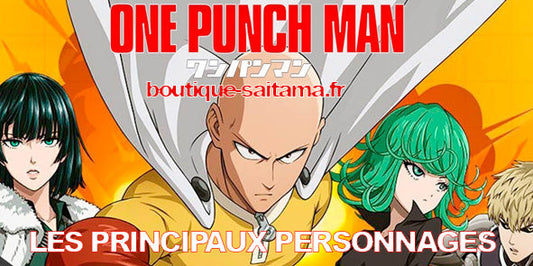 Les Héros et Vilains de One Punch Man : Plongée dans l'Univers des Personnages Inoubliables