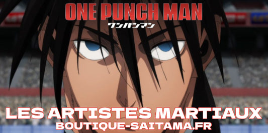 one punch man arts martiaux