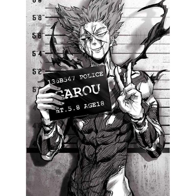 poster garou